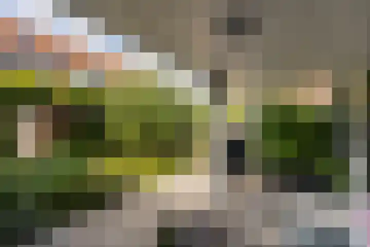 Schoolstraat 6 Nieuwegein thumbnail 30
