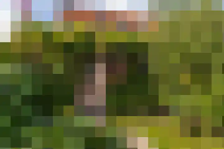 Schoolstraat 6 Nieuwegein thumbnail 31