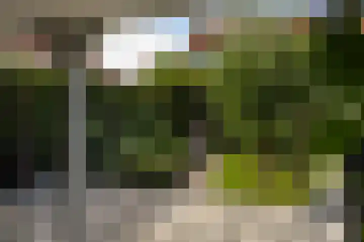 Schoolstraat 6 Nieuwegein thumbnail 4