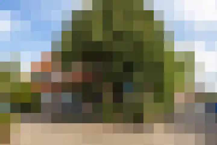 Schoolstraat 6 Nieuwegein thumbnail 44