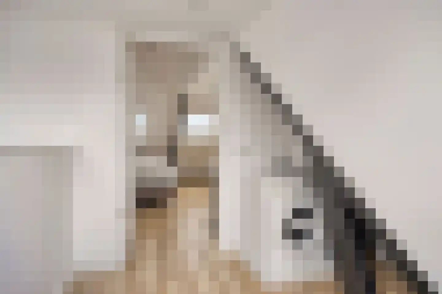 Schoolstraat 6 Oisterwijk thumbnail 35
