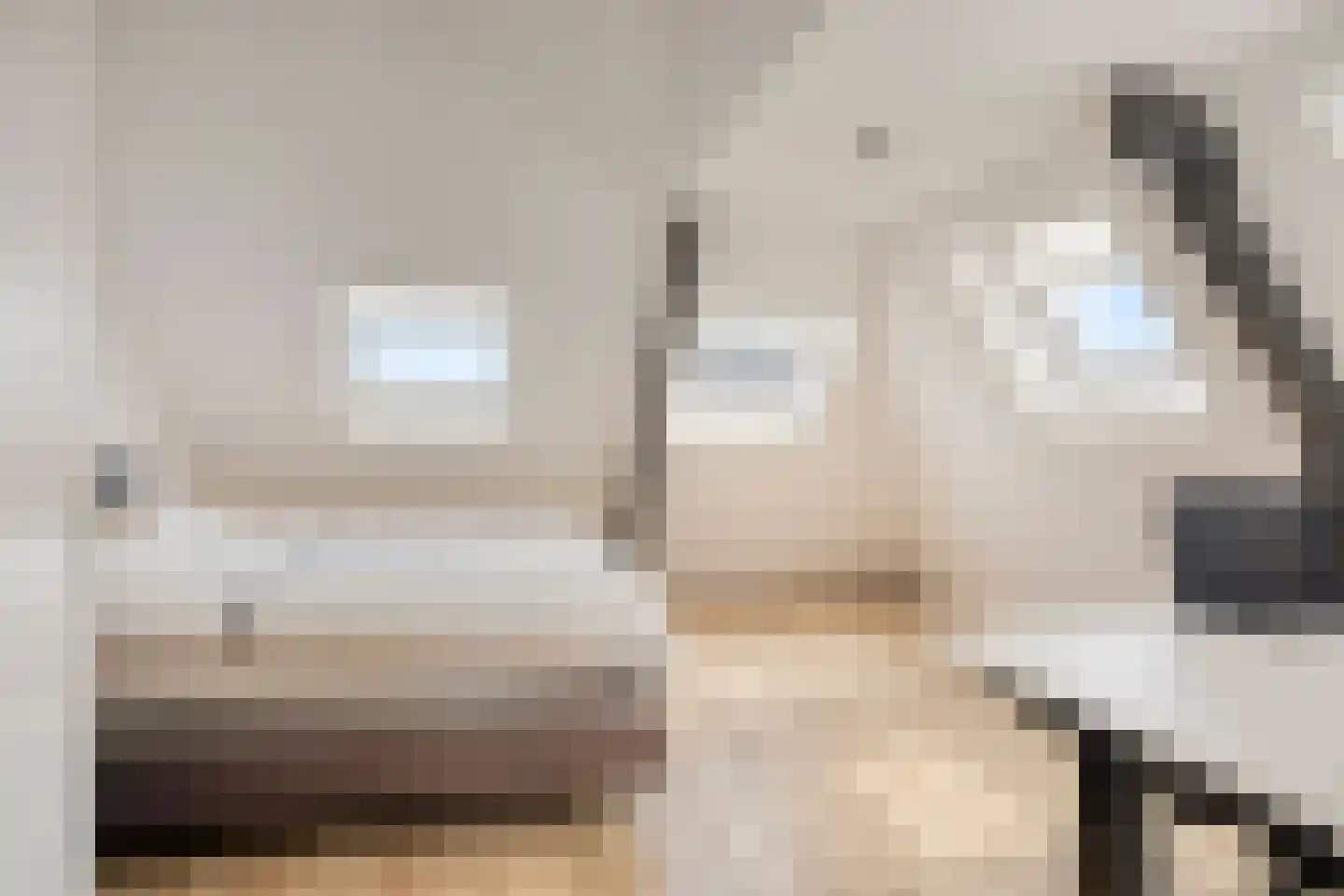 Schoolstraat 6 Oisterwijk thumbnail 36