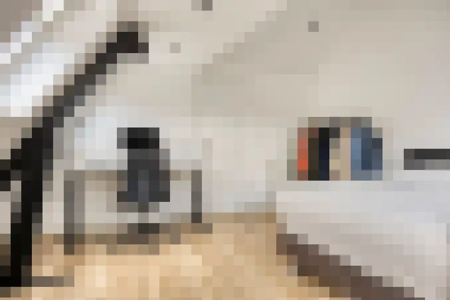 Schoolstraat 6 Oisterwijk thumbnail 37