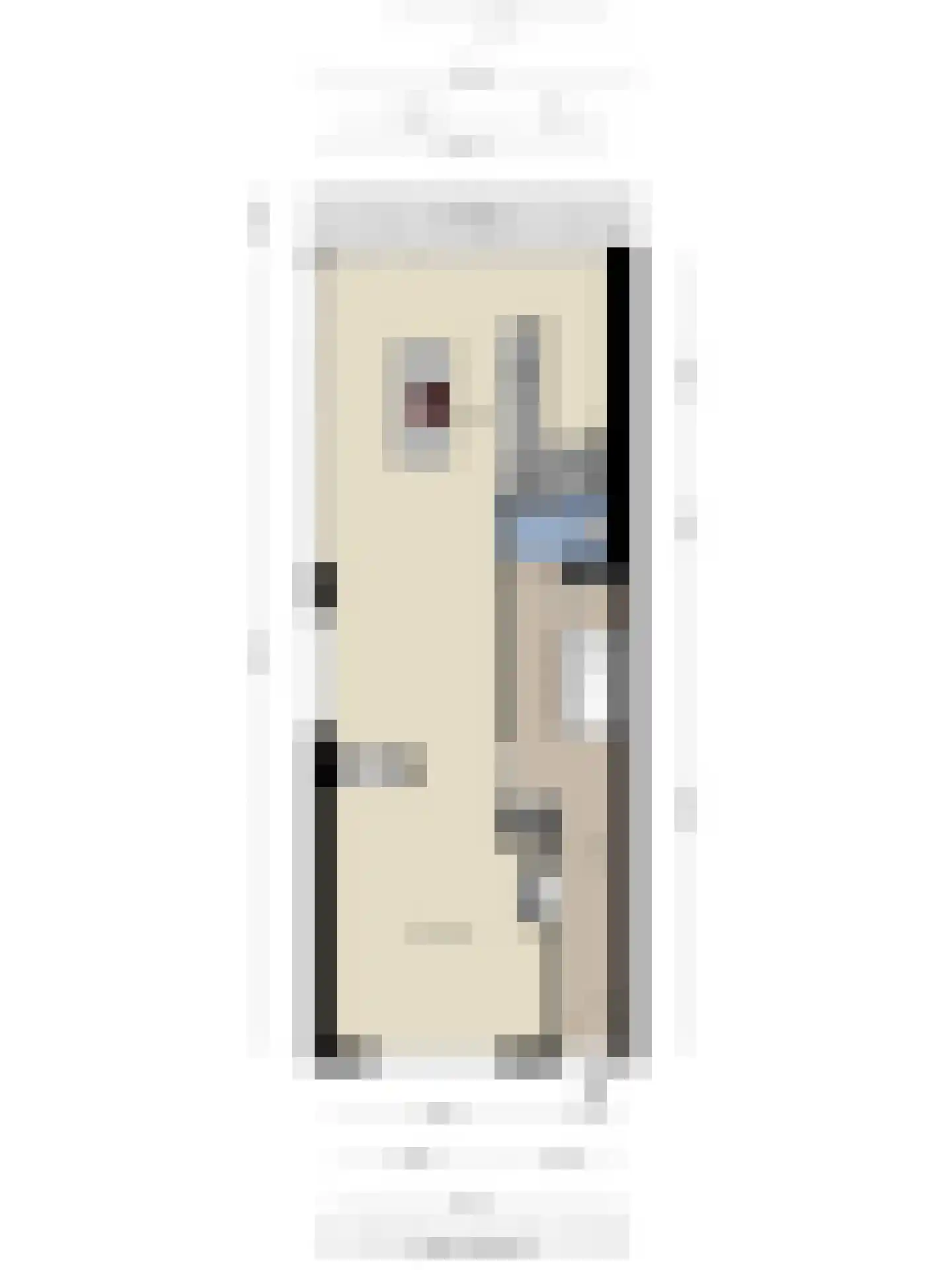 Schoolstraat 6 Oisterwijk thumbnail 48