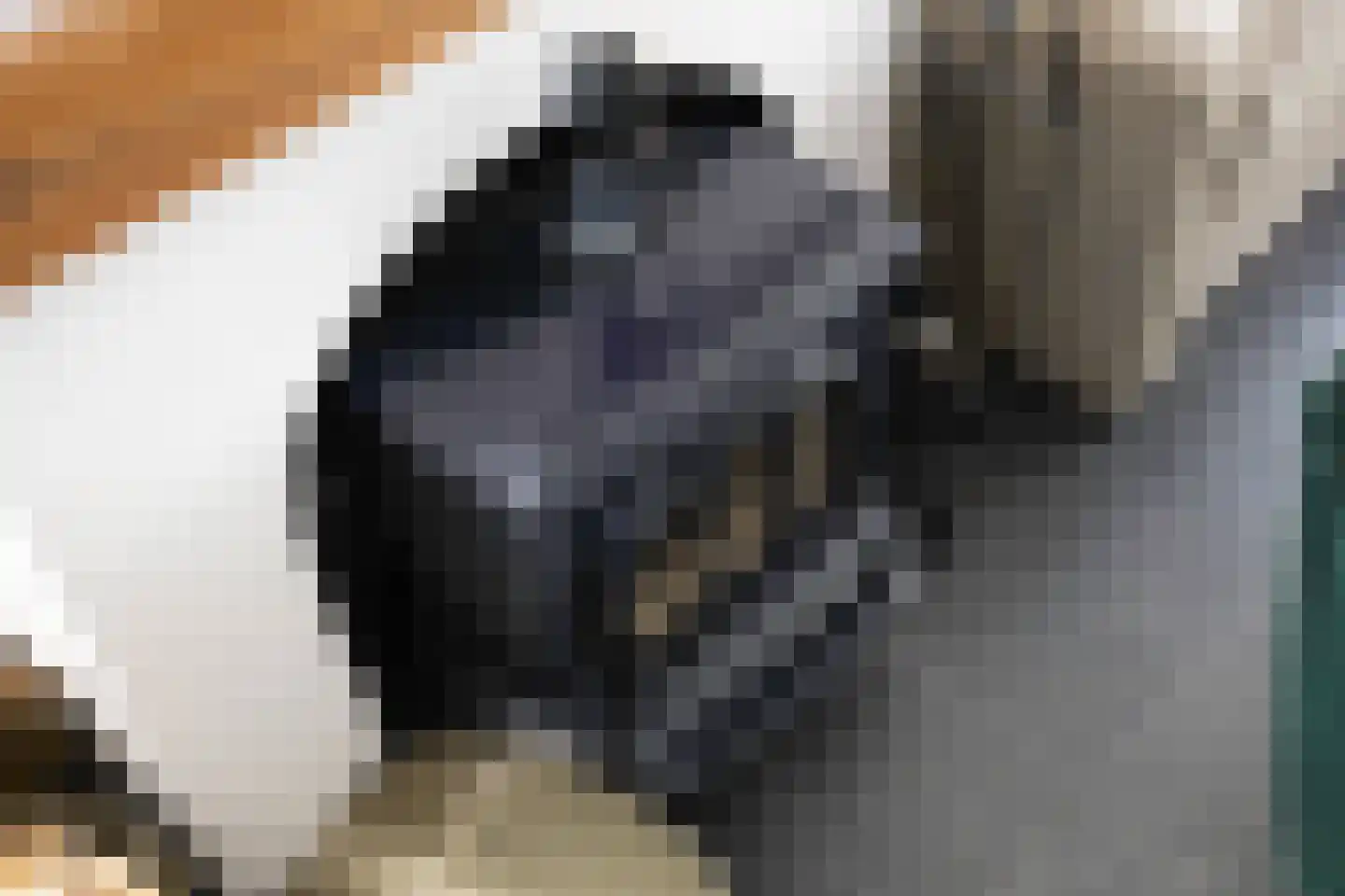 Schoolstraat 6 Oosthuizen thumbnail 15