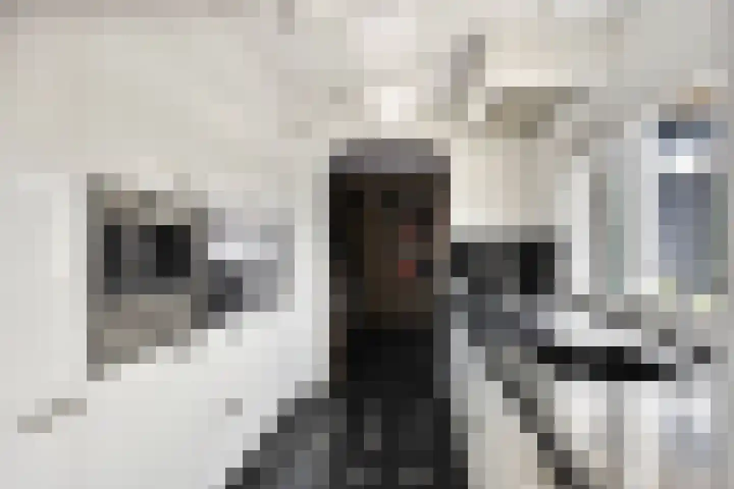 Schoolstraat 6 Oosthuizen thumbnail 18