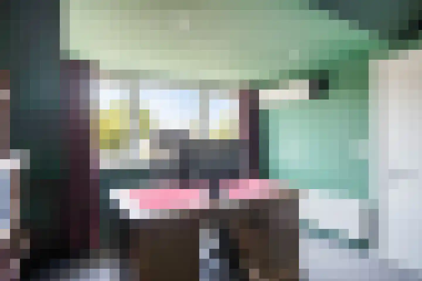 Schoolstraat 6 Oosthuizen thumbnail 30