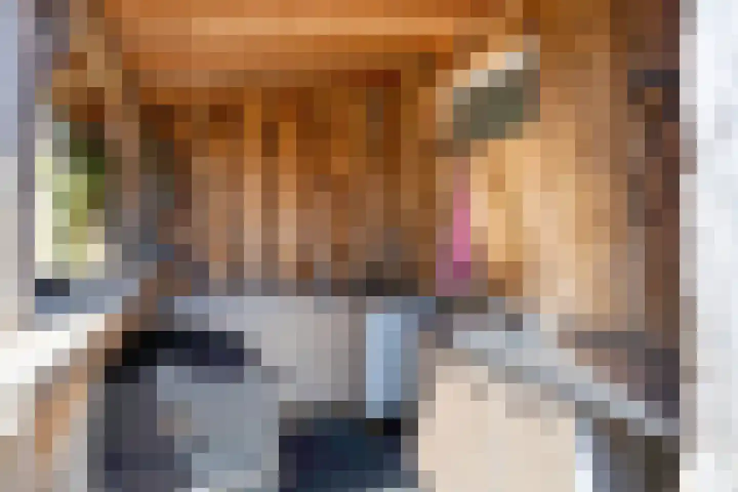 Schoolstraat 6 Oosthuizen thumbnail 35