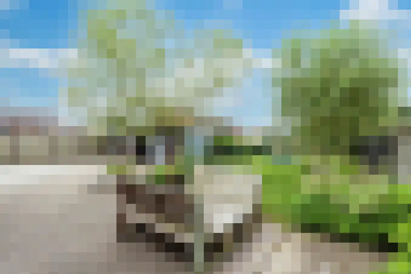 Schoolstraat 6 Rasquert thumbnail 20