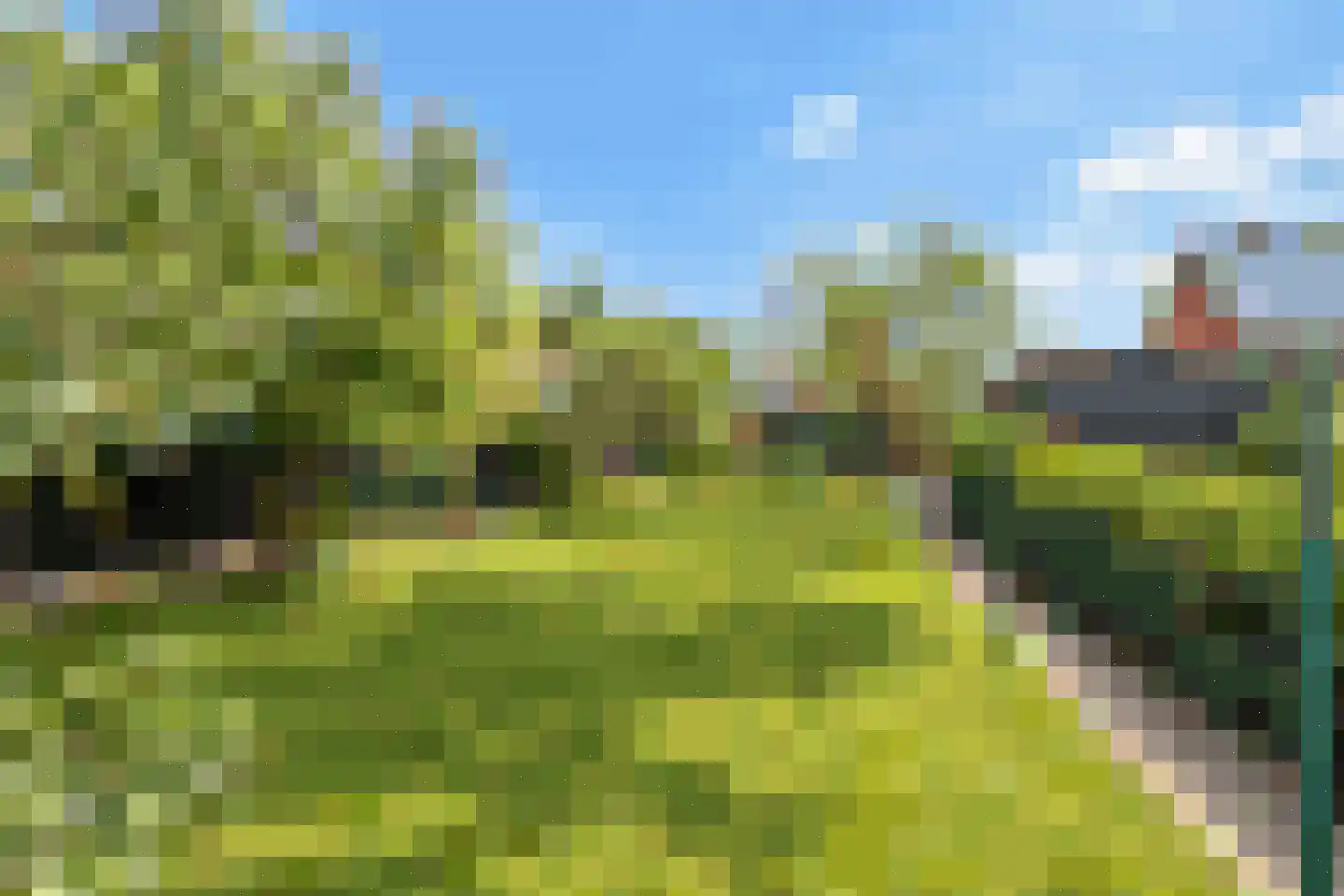 Schoolstraat 6 Rasquert thumbnail 22