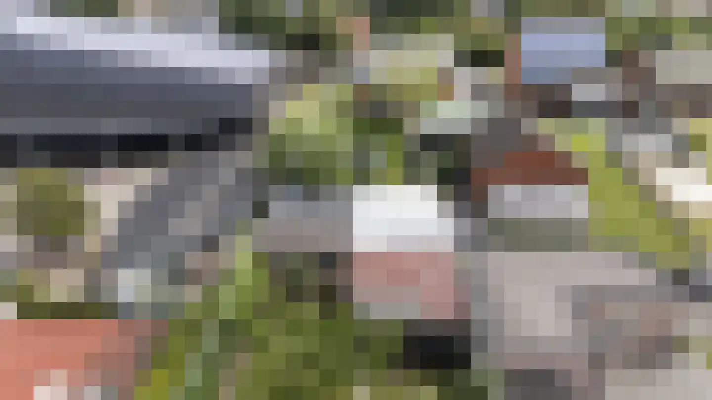Schoolstraat 6 Rasquert thumbnail 25