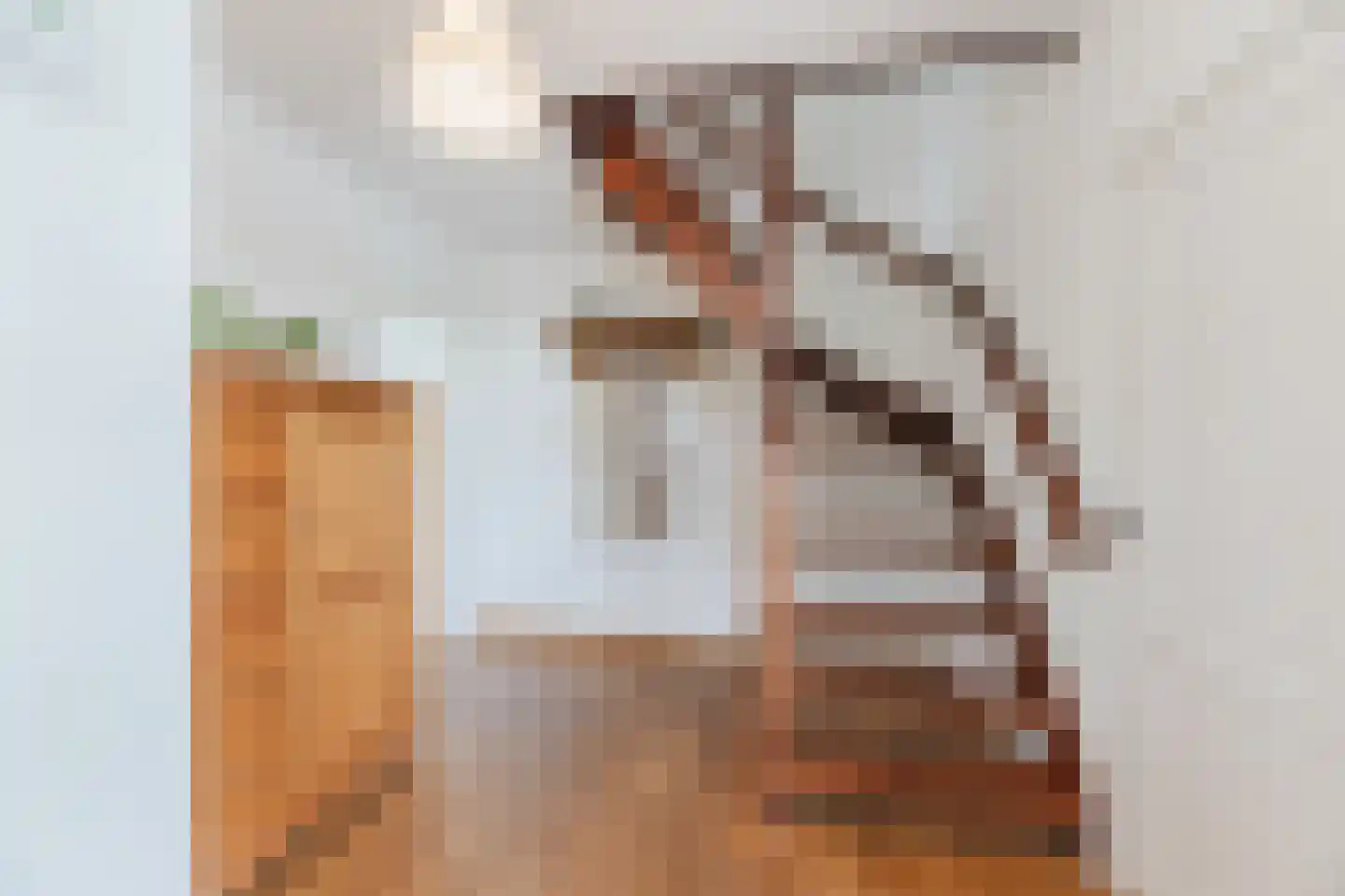 Schoolstraat 6 Sint-Oedenrode thumbnail 38