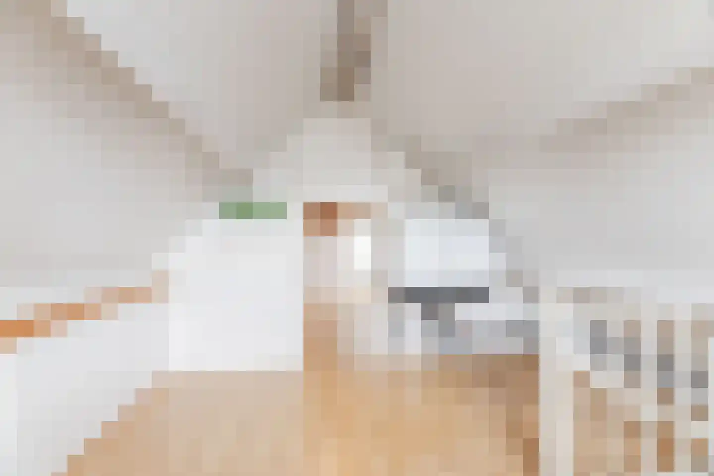 Schoolstraat 6 Sint-Oedenrode thumbnail 56