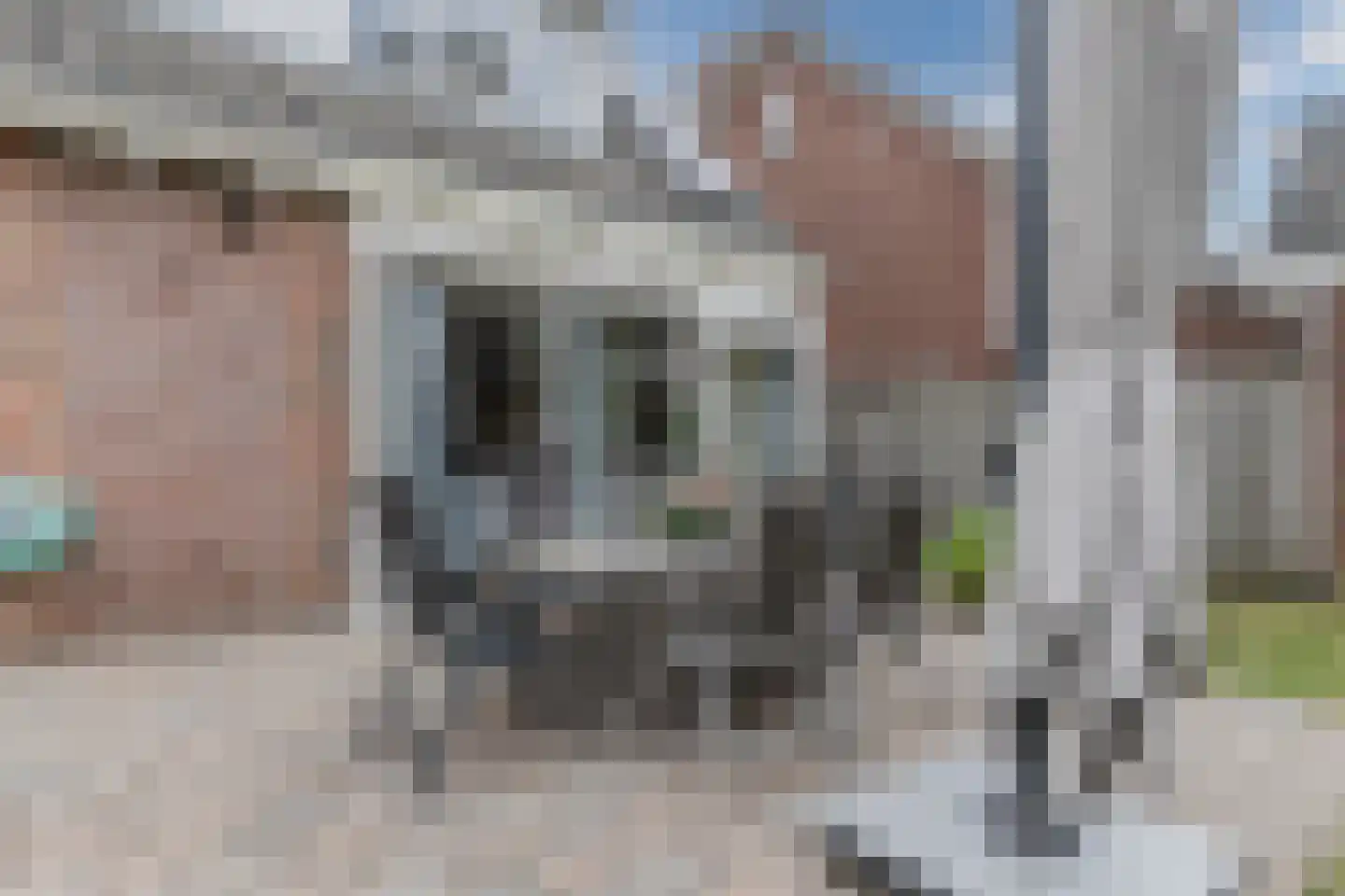 Schoolstraat 6 Sint-Oedenrode thumbnail 63