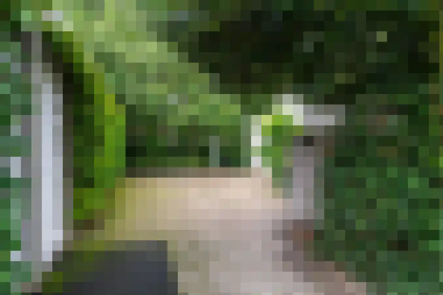 Schoolstraat 6 Waspik thumbnail 35
