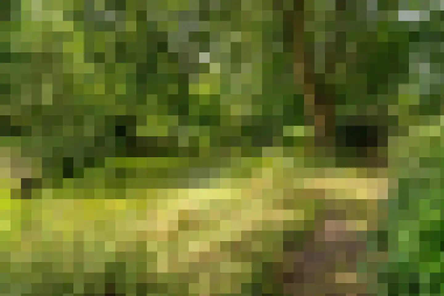 Schoolstraat 6 Waspik thumbnail 4
