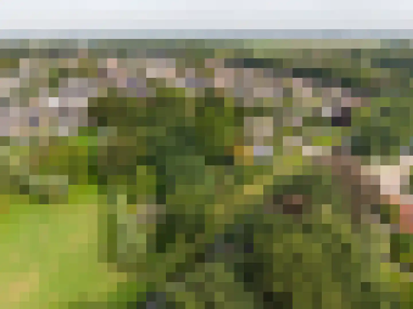 Schoolstraat 6 Waspik thumbnail 42