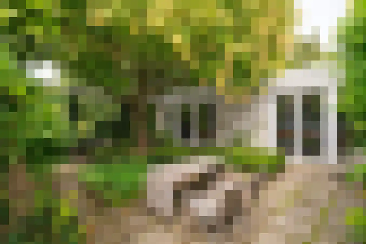 Schoolstraat 6 Waspik thumbnail 43