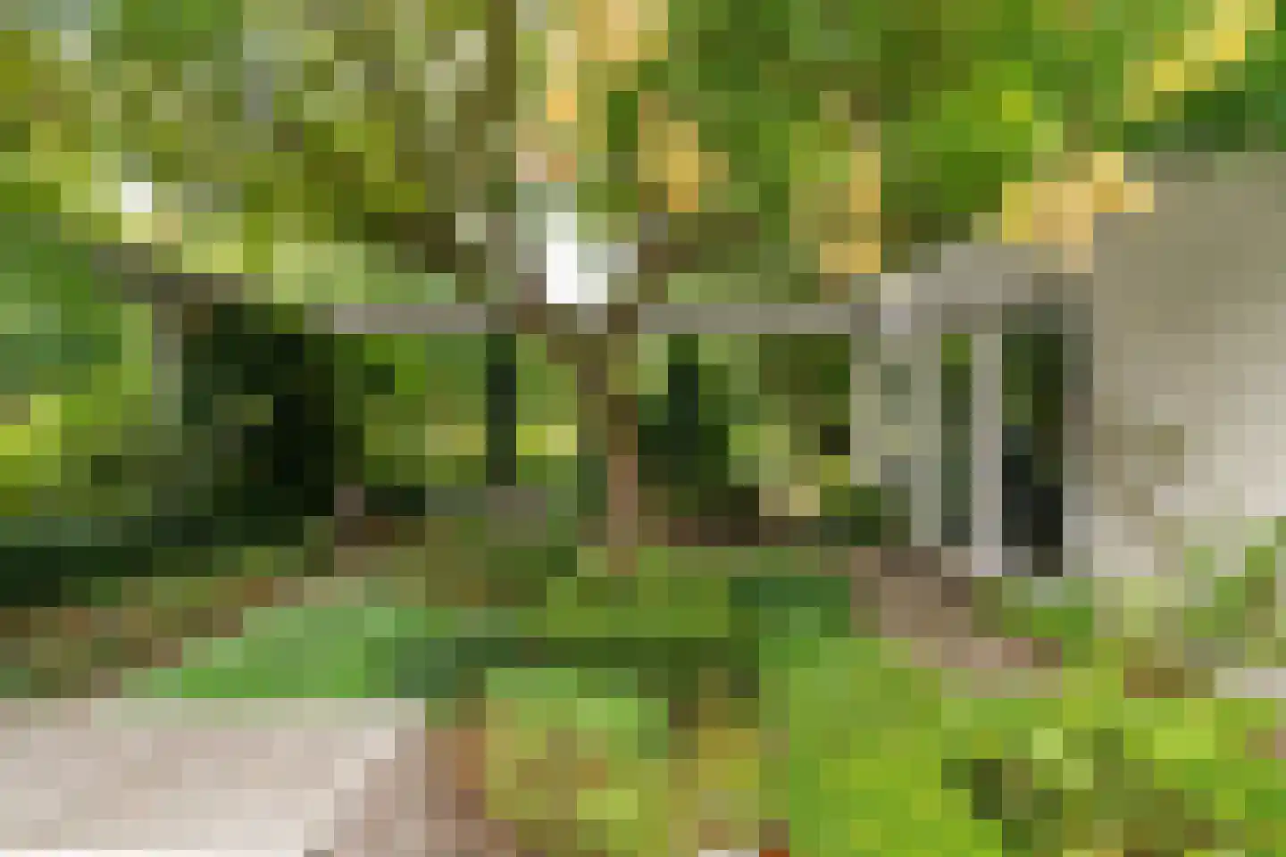 Schoolstraat 6 Waspik thumbnail 44
