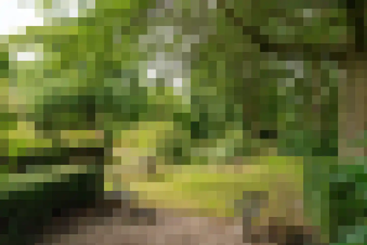 Schoolstraat 6 Waspik thumbnail 45