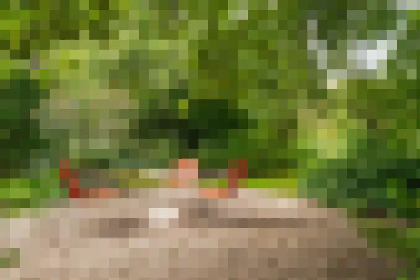 Schoolstraat 6 Waspik thumbnail 46
