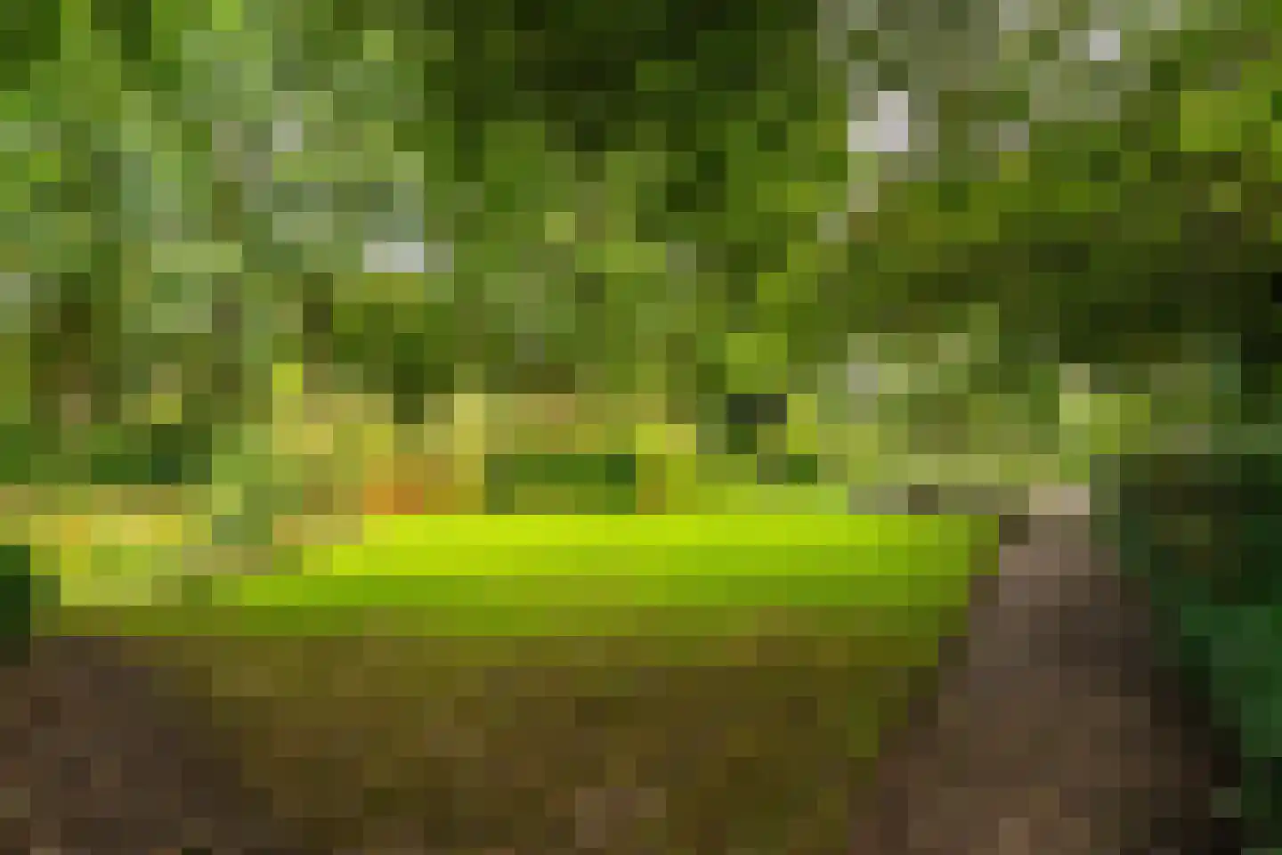 Schoolstraat 6 Waspik thumbnail 47