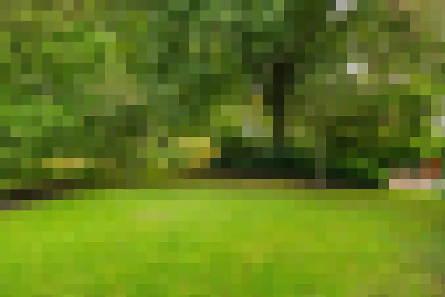 Schoolstraat 6 Waspik thumbnail 48