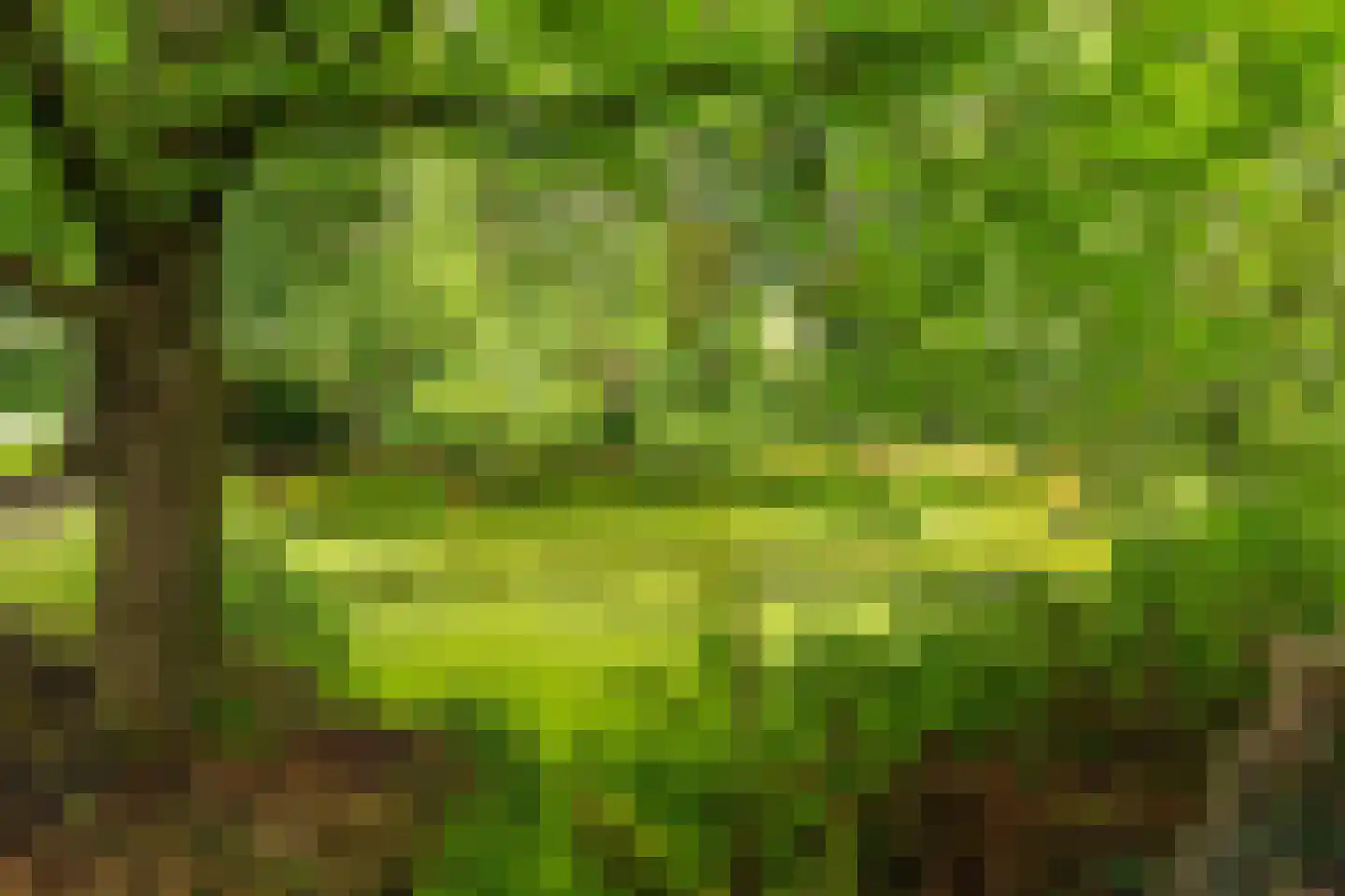 Schoolstraat 6 Waspik thumbnail 49