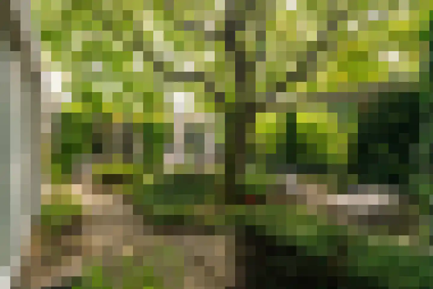 Schoolstraat 6 Waspik thumbnail 5
