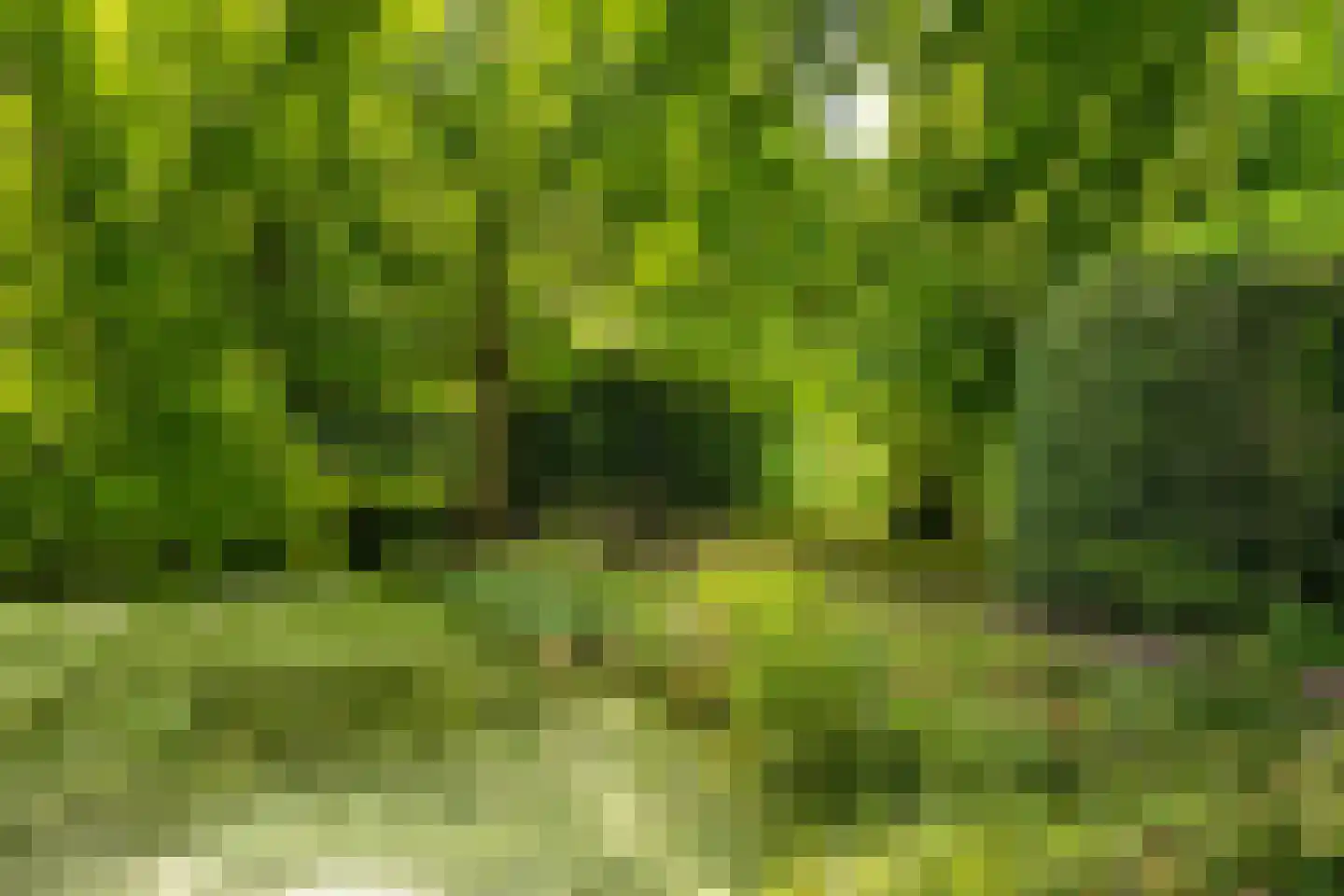 Schoolstraat 6 Waspik thumbnail 50