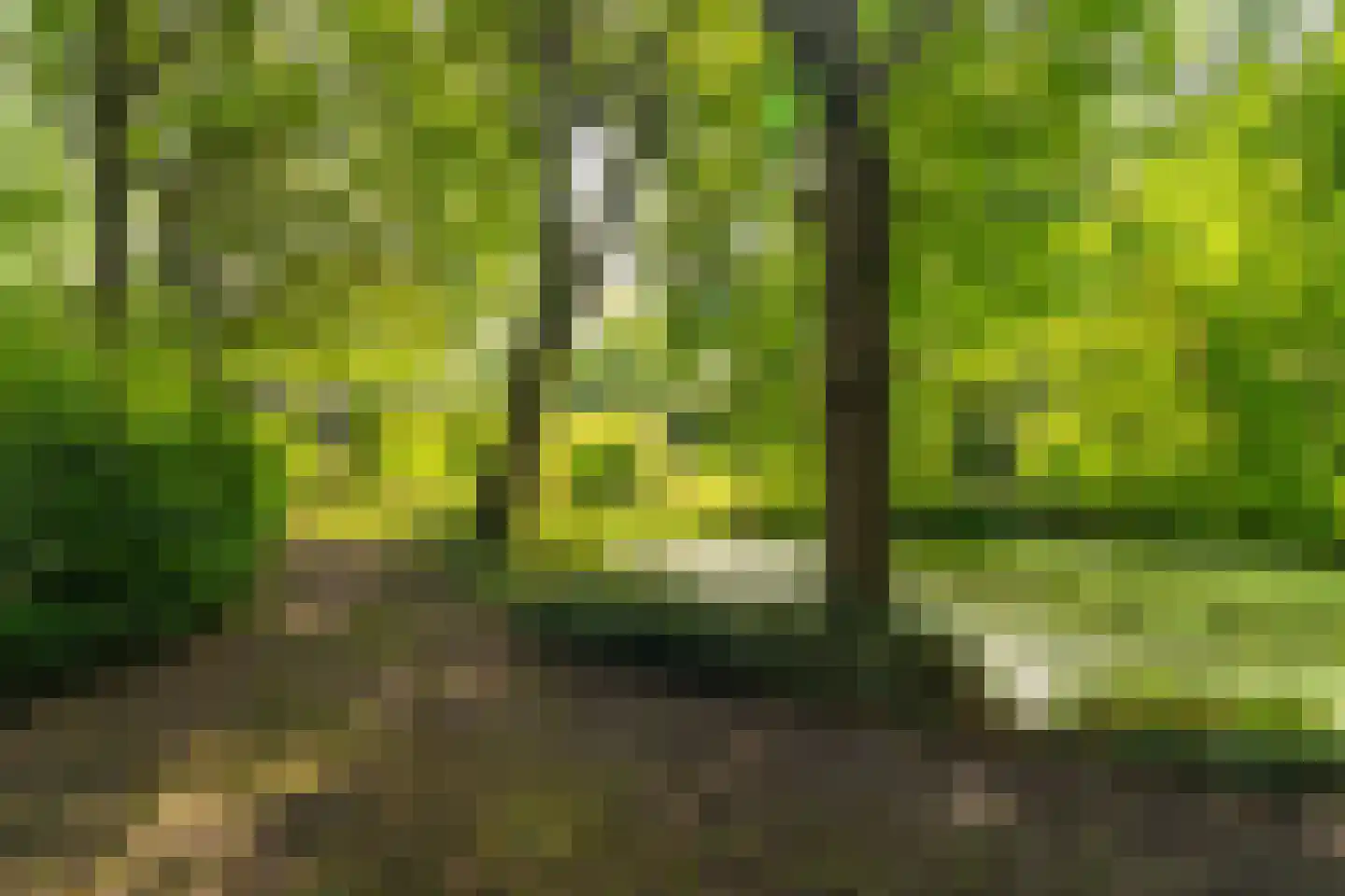 Schoolstraat 6 Waspik thumbnail 51