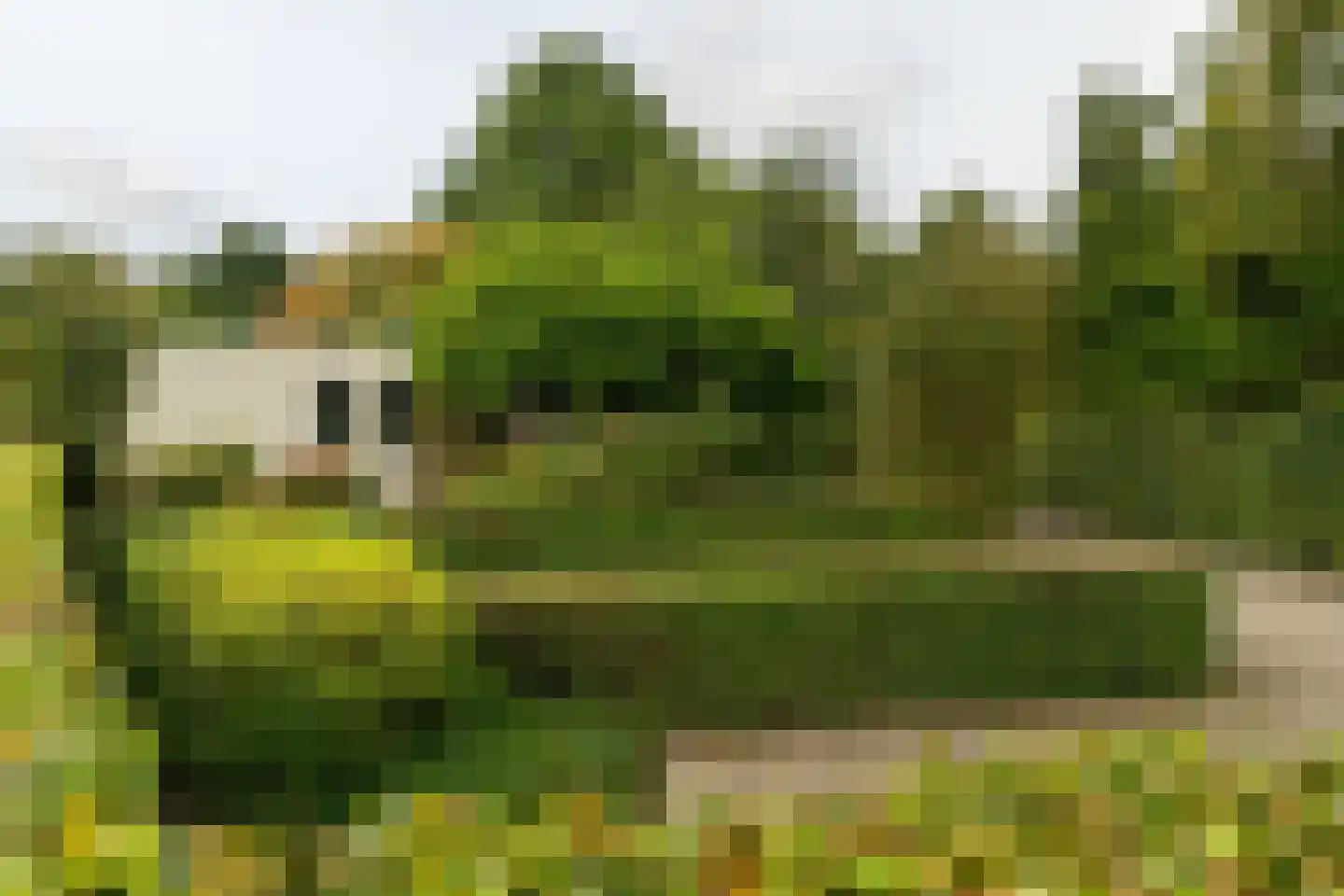 Schoolstraat 6 Waspik thumbnail 56