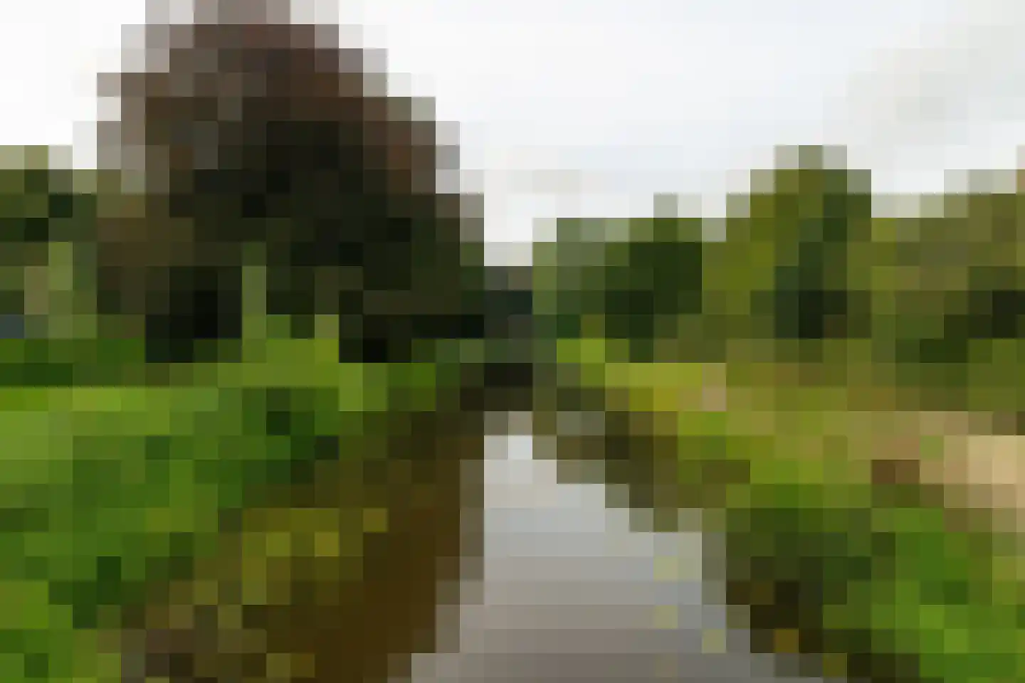 Schoolstraat 6 Waspik thumbnail 6
