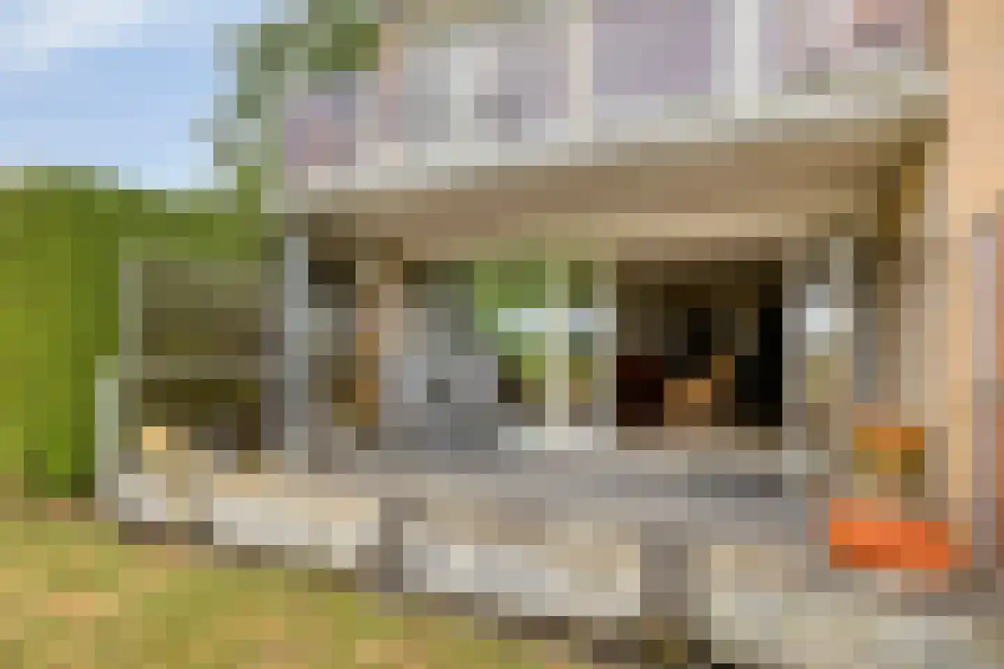 Schoolstraat 6 Zuidlaren thumbnail 4