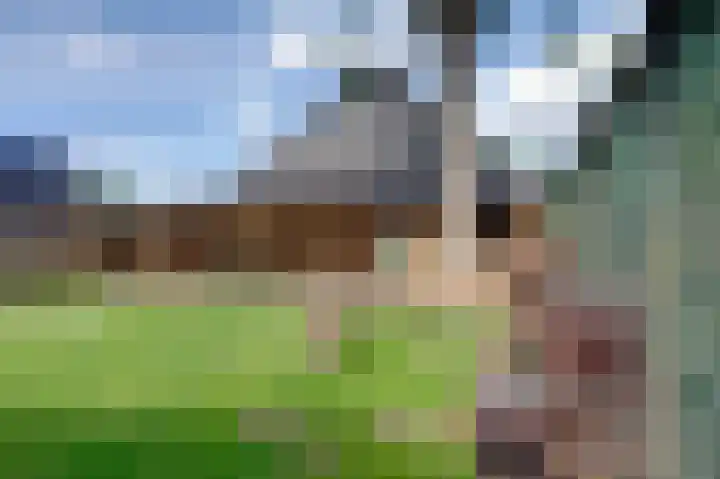 Schoolstraat 60 A Uithuizen thumbnail 55