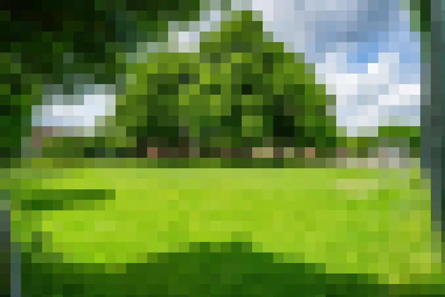 Schoolstraat 60 A Zwolle thumbnail 31