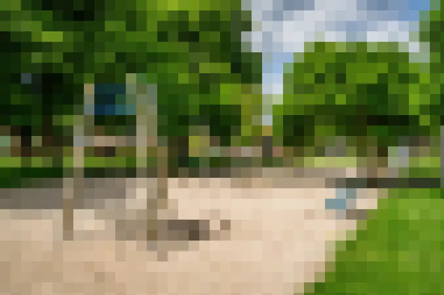 Schoolstraat 60 A Zwolle thumbnail 32
