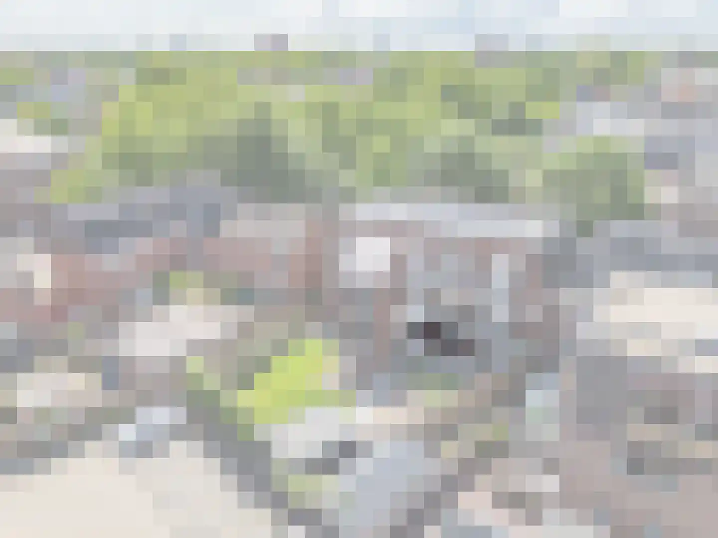 Schoolstraat 60 A Zwolle thumbnail 4