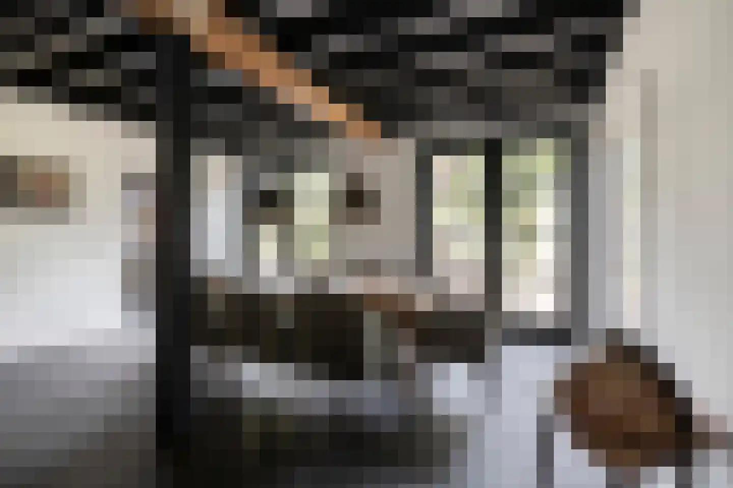 Schoolstraat 60 Heeze thumbnail 11