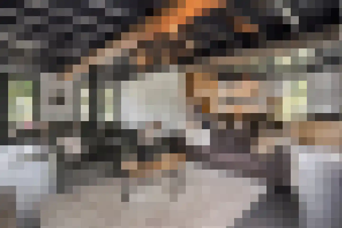 Schoolstraat 60 Heeze thumbnail 12