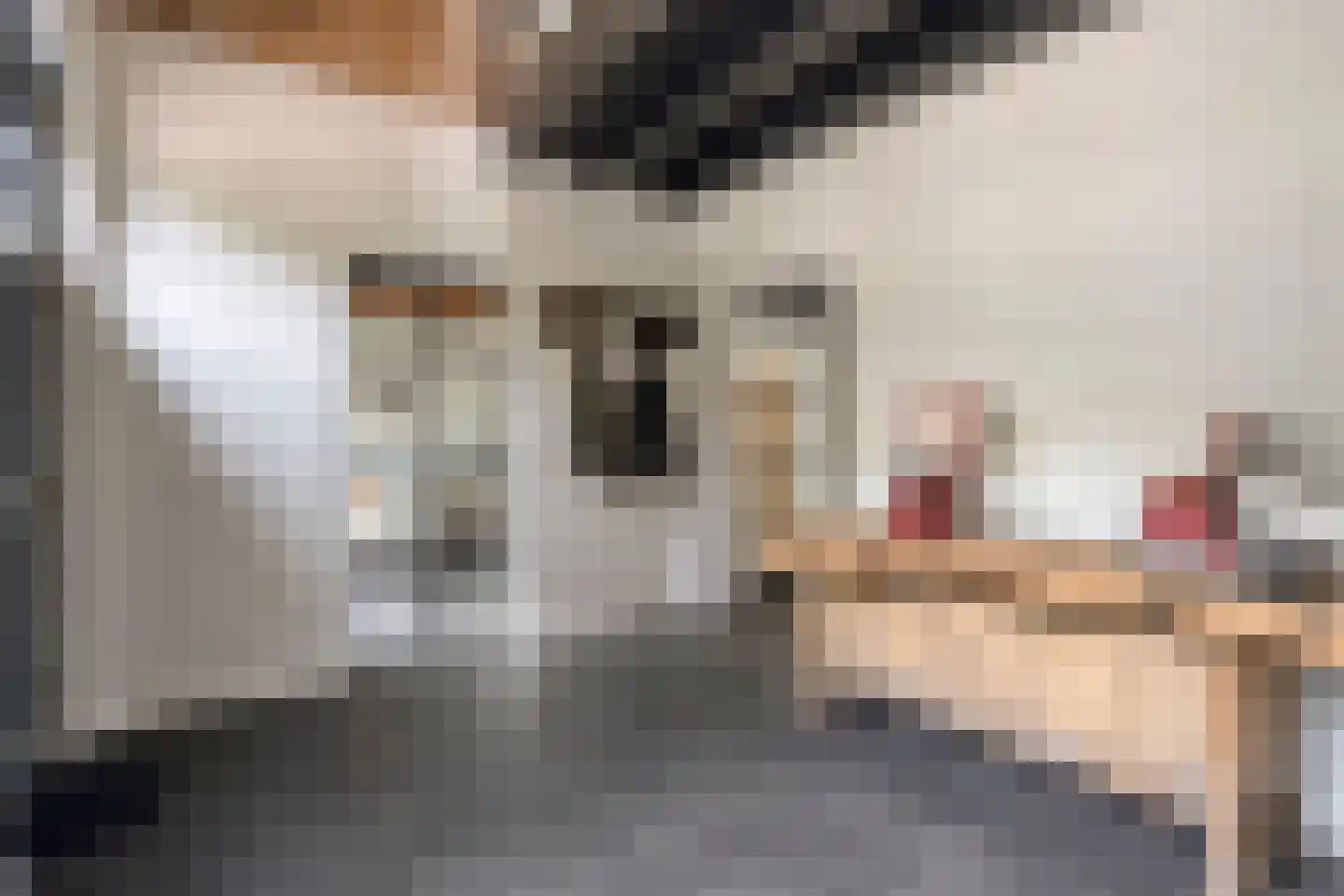 Schoolstraat 60 Heeze thumbnail 35