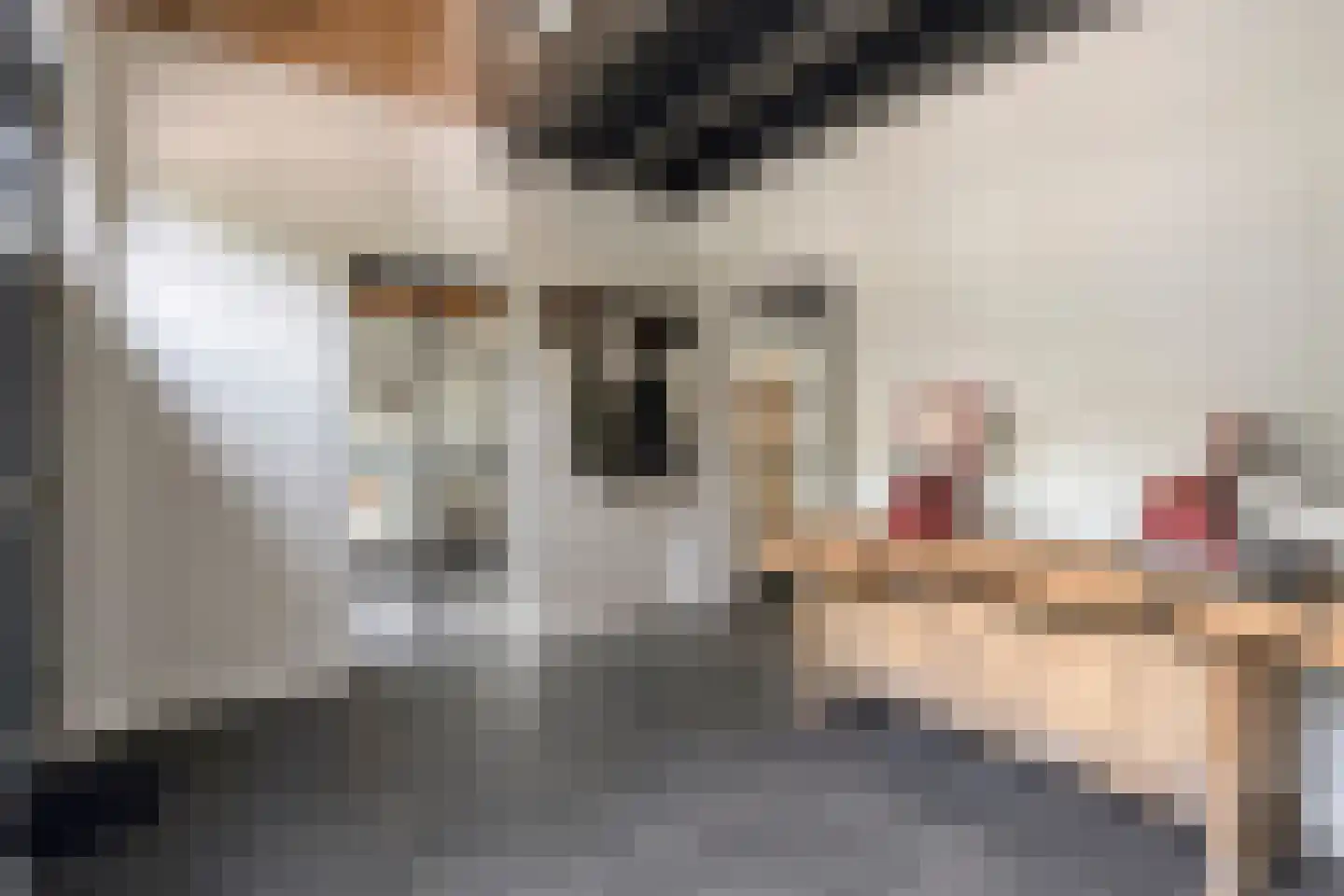 Schoolstraat 60 Heeze thumbnail 5