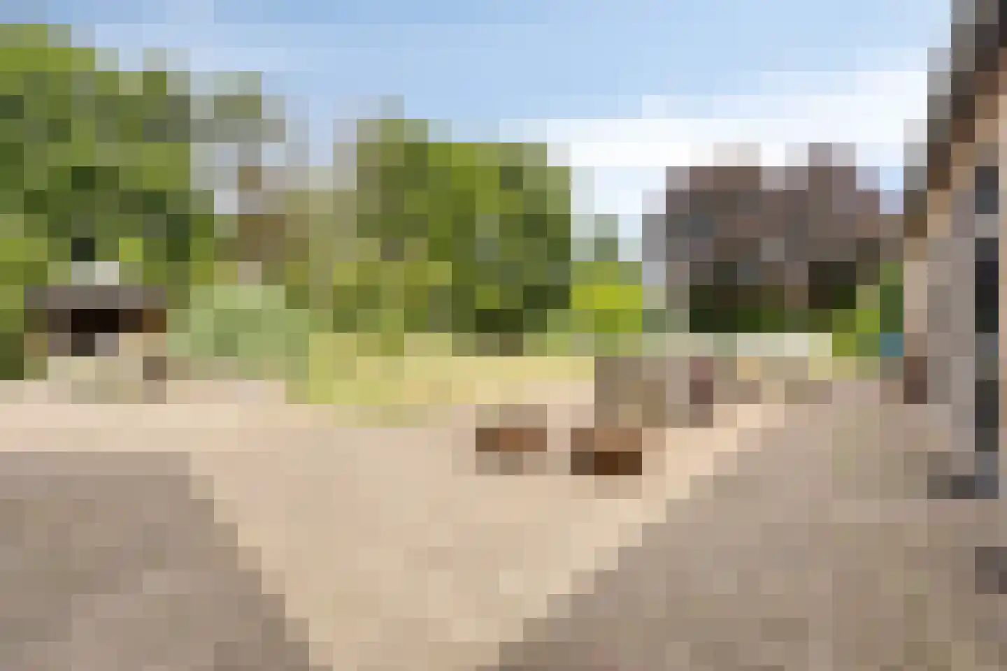 Schoolstraat 60 Heeze thumbnail 55