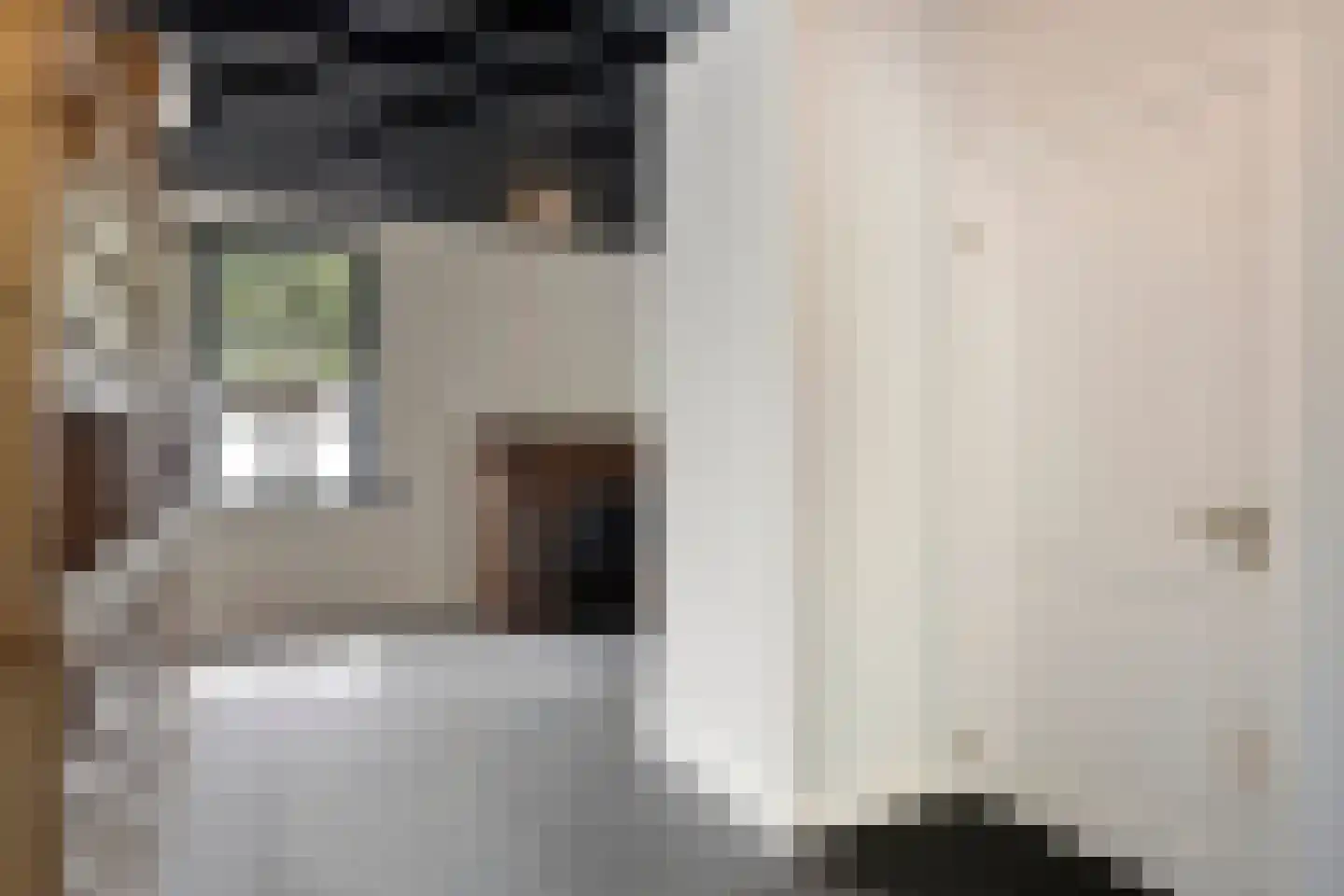 Schoolstraat 60 Heeze thumbnail 6