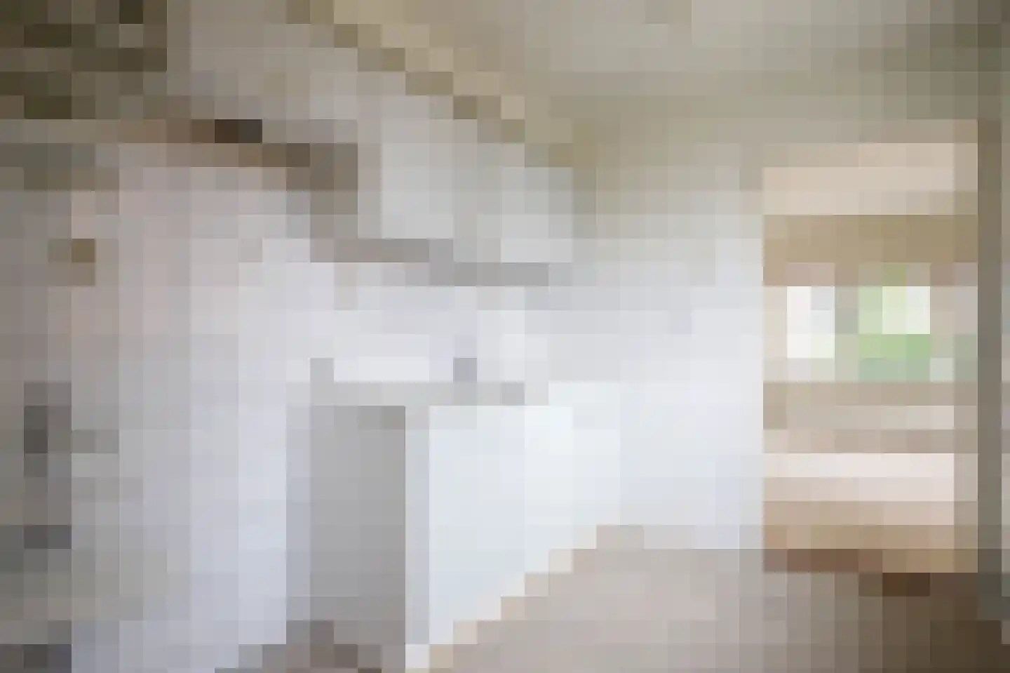 Schoolstraat 60 Krimpen aan de Lek thumbnail 12