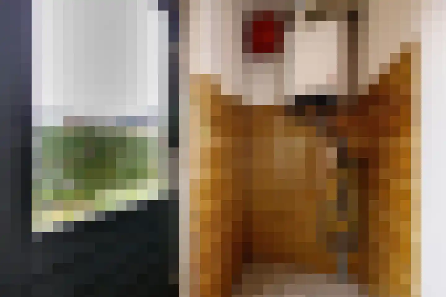 Schoolstraat 60 Krimpen aan de Lek thumbnail 17