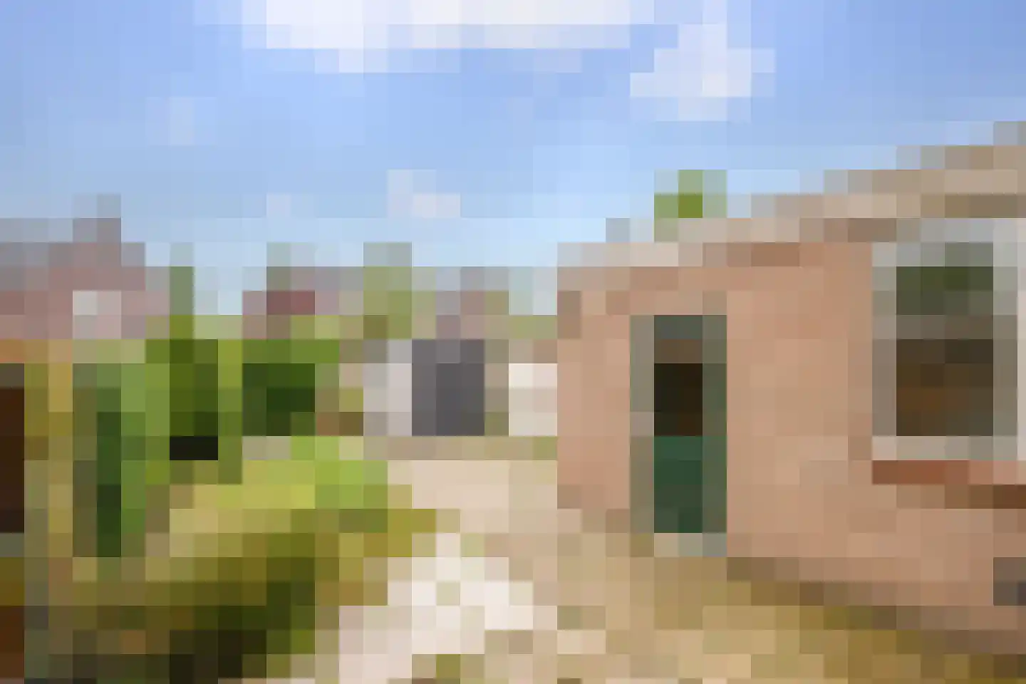Schoolstraat 60 Krimpen aan de Lek thumbnail 25
