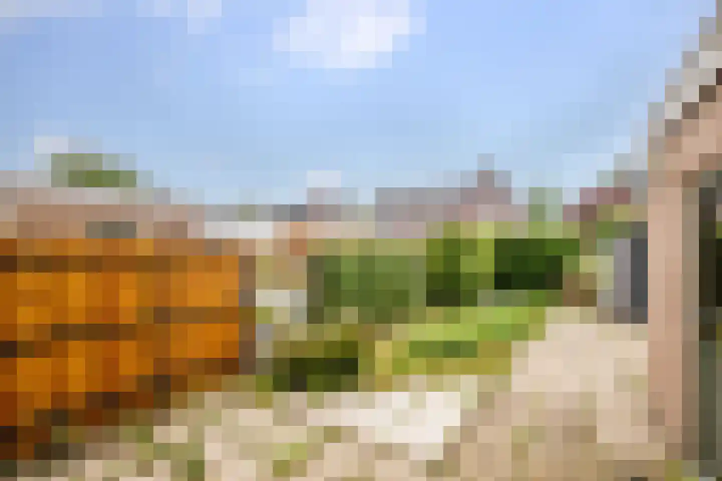 Schoolstraat 60 Krimpen aan de Lek thumbnail 26