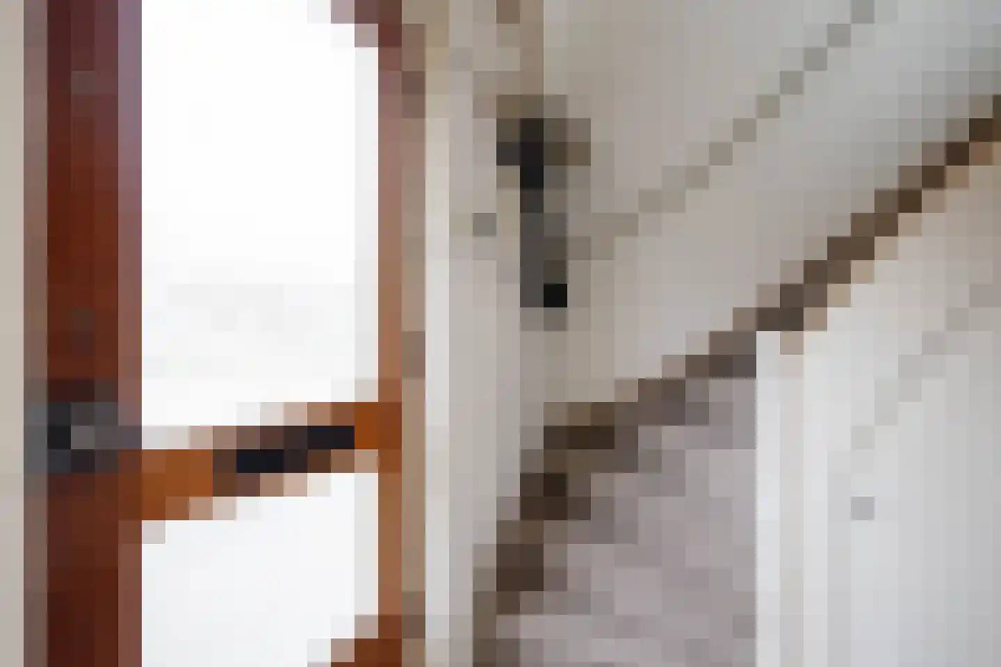 Schoolstraat 60 Krimpen aan de Lek thumbnail 6