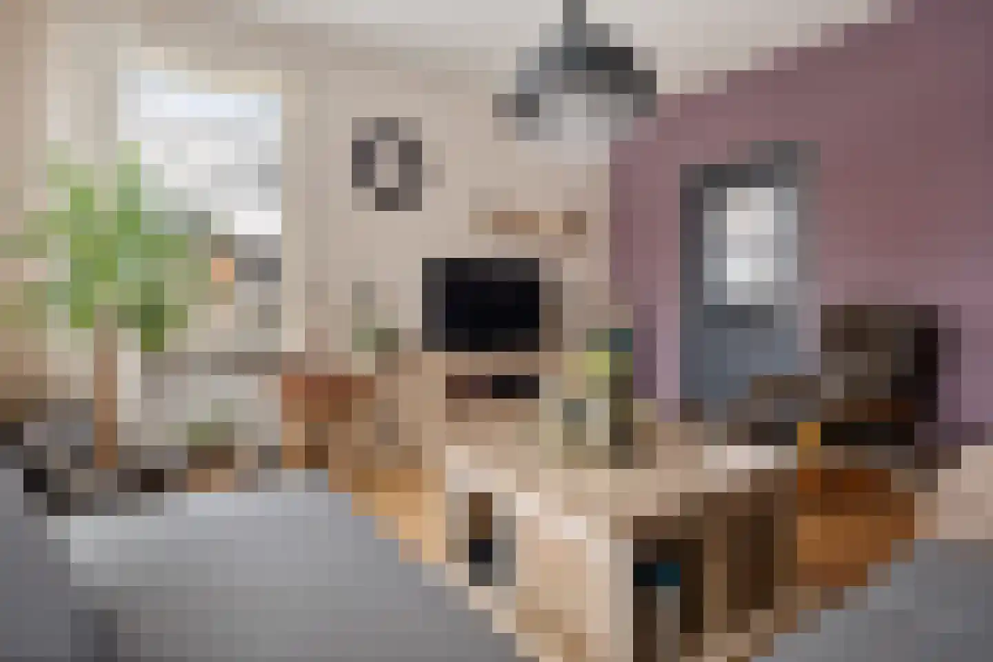 Schoolstraat 60 Vlagtwedde thumbnail 17
